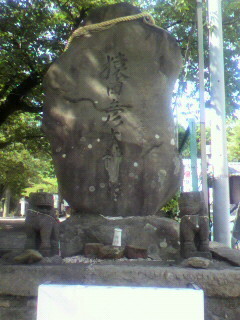 2010060315200000.jpg