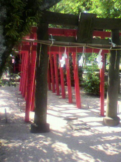 2010060315200003.jpg