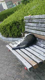 2011091516300000.jpg