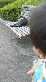 2011091516300001.jpg